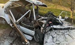 Sakarya'da ağaca çarpan otomobildeki anne ile oğlu öldü