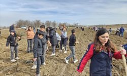 Sorgun'da kadınlar adına lavanta bahçesi kuruldu