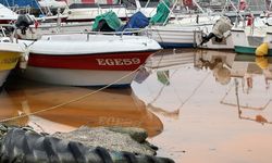 Tekirdağ balıkçı barınağında planktonlar denizin rengini turuncuya çevirdi