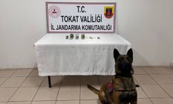 Tokat'ta tarihi eser operasyonunda 8 kişi gözaltına alındı