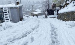 Van, Bitlis, Muş ve Hakkari'de 431 yerleşim yerinin yolu kardan kapandı