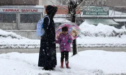 Bitlis'te eğitime ara verildi