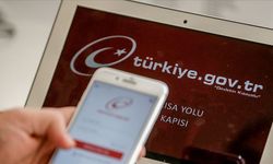 e-Devlet'te en çok kullanılan uygulama belli oldu