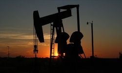 Suudi Arabistan, Cezayir ve Kuveyt, petrol üretiminde 3 ay kesinti yapacak