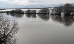 Ardahan'da Kura Nehri eriyen kar birikintileri ve sağanak nedeniyle taştı