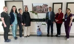Beypazarı Devlet Hastanesi Başhekimi Başkaya, Ebeler Haftası'nı kutladı