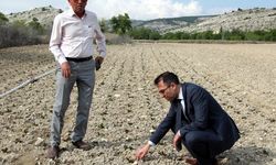 Beypazarı Kaymakamı Yılmaz'dan tarım işçilerine 1 Mayıs ziyareti