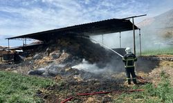 Burdur'da samanlıkta çıkan yangında bir kişi yaralandı