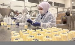 Çiftçi kuruluşunun tesislerinde üretilen süt ve süt ürünleri 15 ülkeye ihraç ediliyor