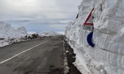 Kar ve tipi nedeniyle 4,5 aydır kapalı olan Ardahan-Ardanuç yolu ulaşıma açıldı