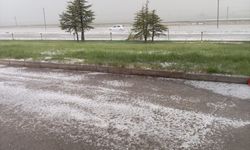Nevşehir'de dolu yağışı ekili arazilere zarar verdi