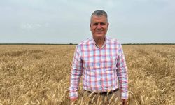 CHP'li Barut: Buğday taban fiyatı en az 15 TL olmalı