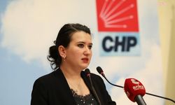 CHP'li Gökçen Adalet Bakanına sordu: Bakanlık mülakatında "Erdoğan'ın kaç çocuğu var" iddiası