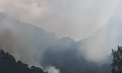 Çanakkale Valiliği'nde orman yangını uyarısı