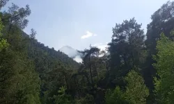 Antalya Kemer'de orman yangını: Kontrol altına alındı