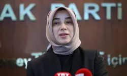 Özlem Zengin'in görevden alındığı iddialarına AKP'den yanıt