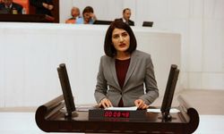 Eski HDP milletvekili Semra Güzel'in tutukluluğunun devamına kararlaştırıldı