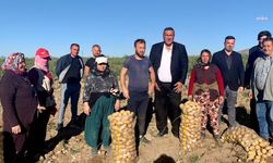 CHP'li Gürer: Tarım işçilerinin olumsuz yaşam koşulları iyileştirilmeli