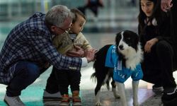 İstanbul Havalimanı'nın yeni çalışanları: Terapi köpekleri sahada