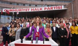 CHP'li Nazlıaka, kadın kolları genel başkanlığına yeniden aday oldu