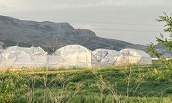 Burdur'da etkili olan şiddetli rüzgarda seralar zarar gördü