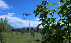 Büyükşehir Belediyesi park ve mesire alanlarını dronla ilaçlıyor