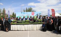 Çubuk Belediyesince üreticilere 1 milyon sebze fidesi dağıtımına başlandı
