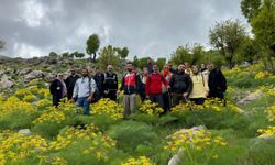 Doğaseverler, Siirt'in Bacavan Yaylası'nda ters laleleri görüntüledi