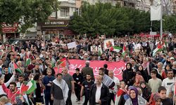 Elazığ'da "Büyük Gazze Yürüyüşü ve Mitingi" yapıldı