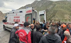 Hakkari'de köprüden dereye düşen küreme aracındaki 2 kişi yaralandı