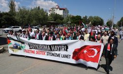 Iğdır'da üniversite öğrencilerinden Filistin'e destek yürüyüşü