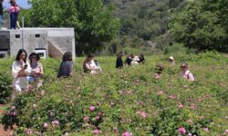 İstanbul'dan Isparta'ya gelen grup gül bahçelerini gezdi
