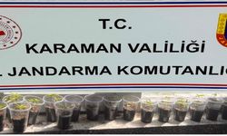 Karaman'da uyuşturucu operasyonu