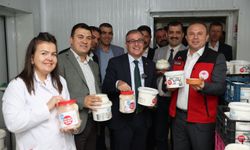 Kayseri'de mozzarella peyniri üretilecek