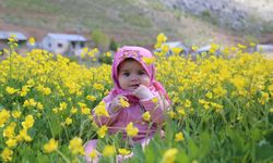 Konya'da yaylalar baharın tüm güzelliklerini sunuyor