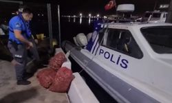 Samsun'da kaçak salyangoz avcılığı yapan kişiye 66 bin 114 lira ceza kesildi