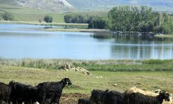 Sivas'ın "doğal akvaryumu" ve "Hafik jips karstik alanı" jeolojik miras listesine girdi