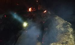 Sivas'ta 5 samanlık ve 2 ahırda çıkan yangında 9 büyükbaş hayvan telef oldu