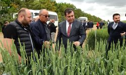 TİGEM İç Anadolu Bölgesi Tohum Satış Bayileri İstişare Toplantısı Konya'da yapıldı