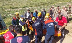 Van'da ot toplarken kayalıklardan düşerek yaralanan 2 kişiyi ekipler kurtardı