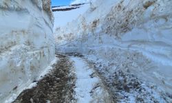 Yüksekova'da karla mücadele ekipleri üs bölgesinin yolunu açmaya çalışıyor