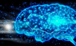 Beyin-Bilgisayar Aktivasyonu: Teknoloji ve İnsanın Buluşması