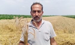 Çiftçiden buğday taban fiyatının açıklanmamasına tepki: Çiftçi ağlıyor