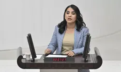 DEM Parti'li Aslan eylem yasaklarına tepki gösterdi