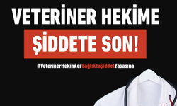 Türk Veteriner Hekimleri Birliği: Üç meslektaşımız görevi sırasında saldırıya uğradı