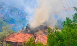 Ankara Nallıhan'da samanlık ve kullanılmayan değirmen yandı