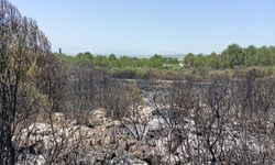 Antalya'da çıkan orman yangını söndürüldü