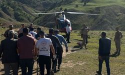 Bingöl'de yaylada böceğin başını ısırdığı kişi ambulans helikopterle hastaneye kaldırıldı