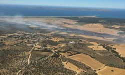 Çanakkale'de tarım arazisindeki yangın bozuk orman alanına sıçradı