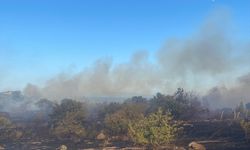 Çanakkale'de tarım arazisinden ormana sıçrayan yangın söndürüldü